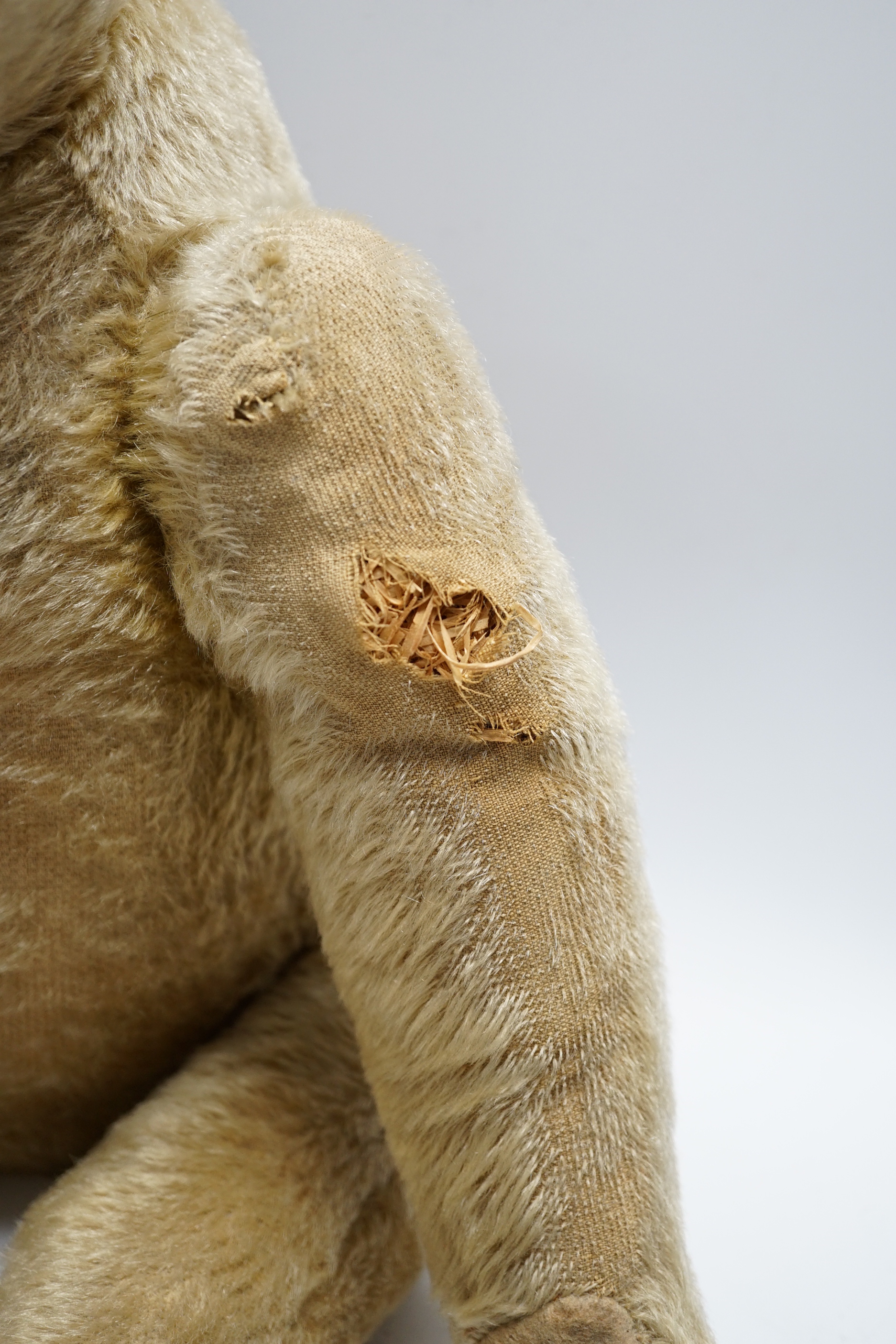 A Steiff bear c.1910, 65cm holes to front of arms, repairs to paw pads and nose, no button